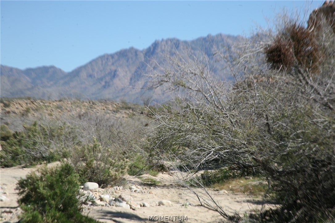 208-24-134 South Cameron Road Yucca, AZ 86438 - Photo 83 of 86 Gallery Image 83