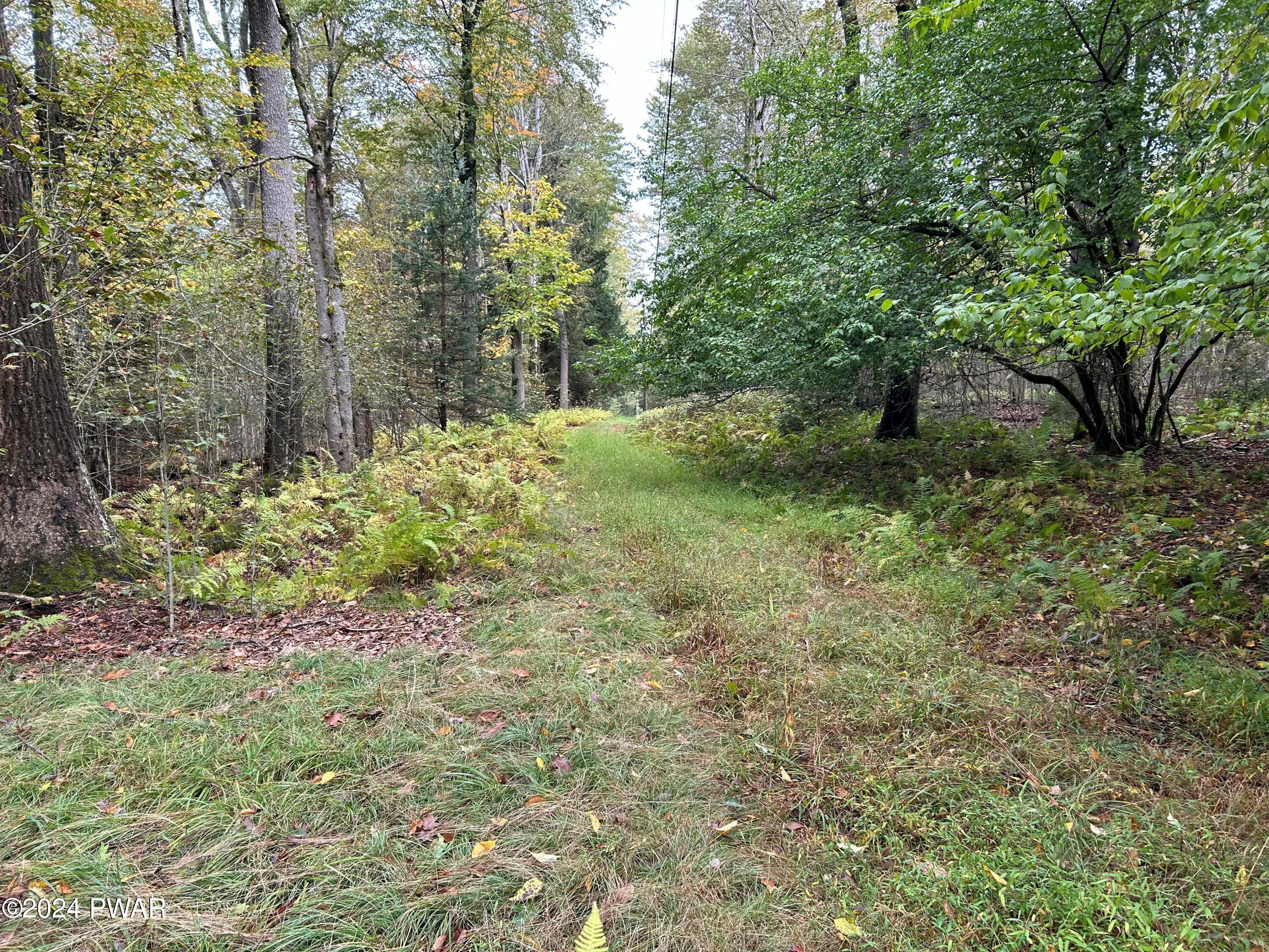 185 North Shore Road Greentown, PA 18426 - Photo 36 of 44