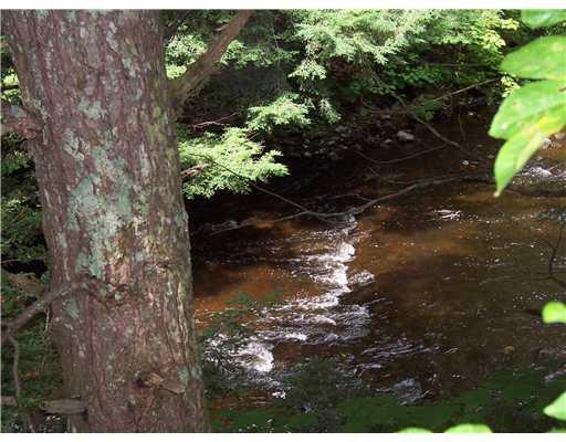 60 Perkins Road Belfast, ME 04915 - Photo 5 of 6 Other. Little River from walking trail.