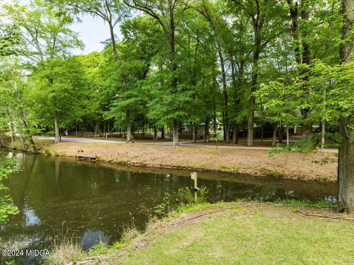 391 Rivermist Road Juliette, GA 31046 - Photo 46 of 61 02-DJI_20240418152303_0009_D