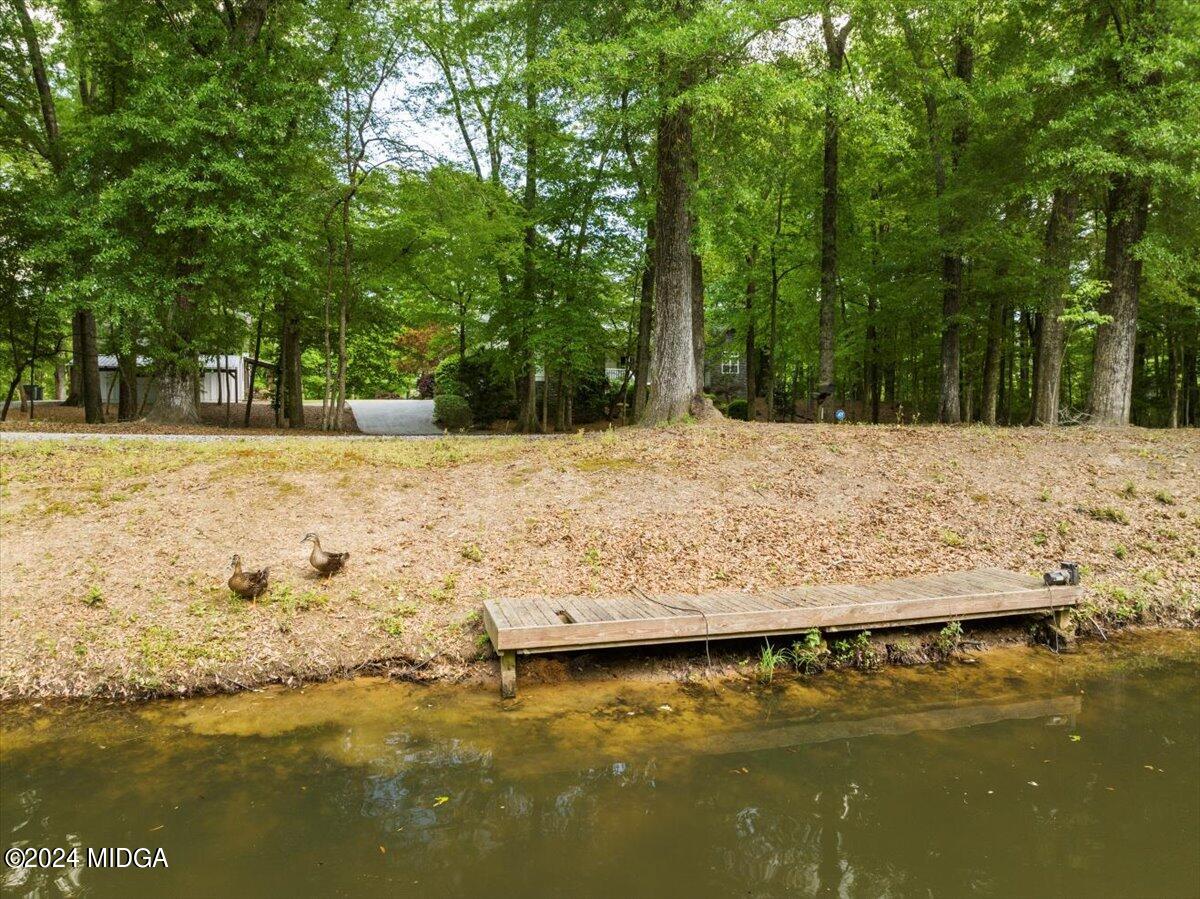 391 Rivermist Road Juliette, GA 31046 - Photo 47 of 61 03-DJI_20240418152322_0014_D