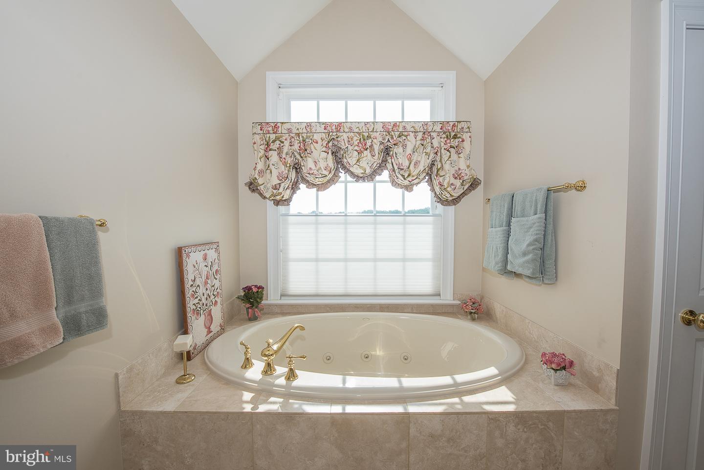 6 Rapps Run Drive Malvern, PA 19355 - Photo 57 of 91 Master Jacuzzi Bathtub with Great Views