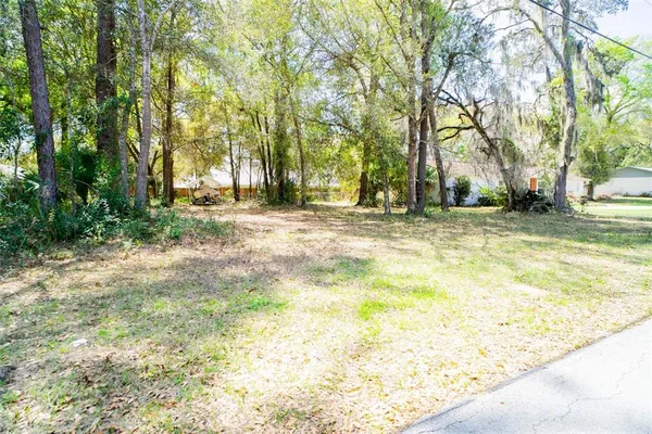 a view of a yard with plants and trees