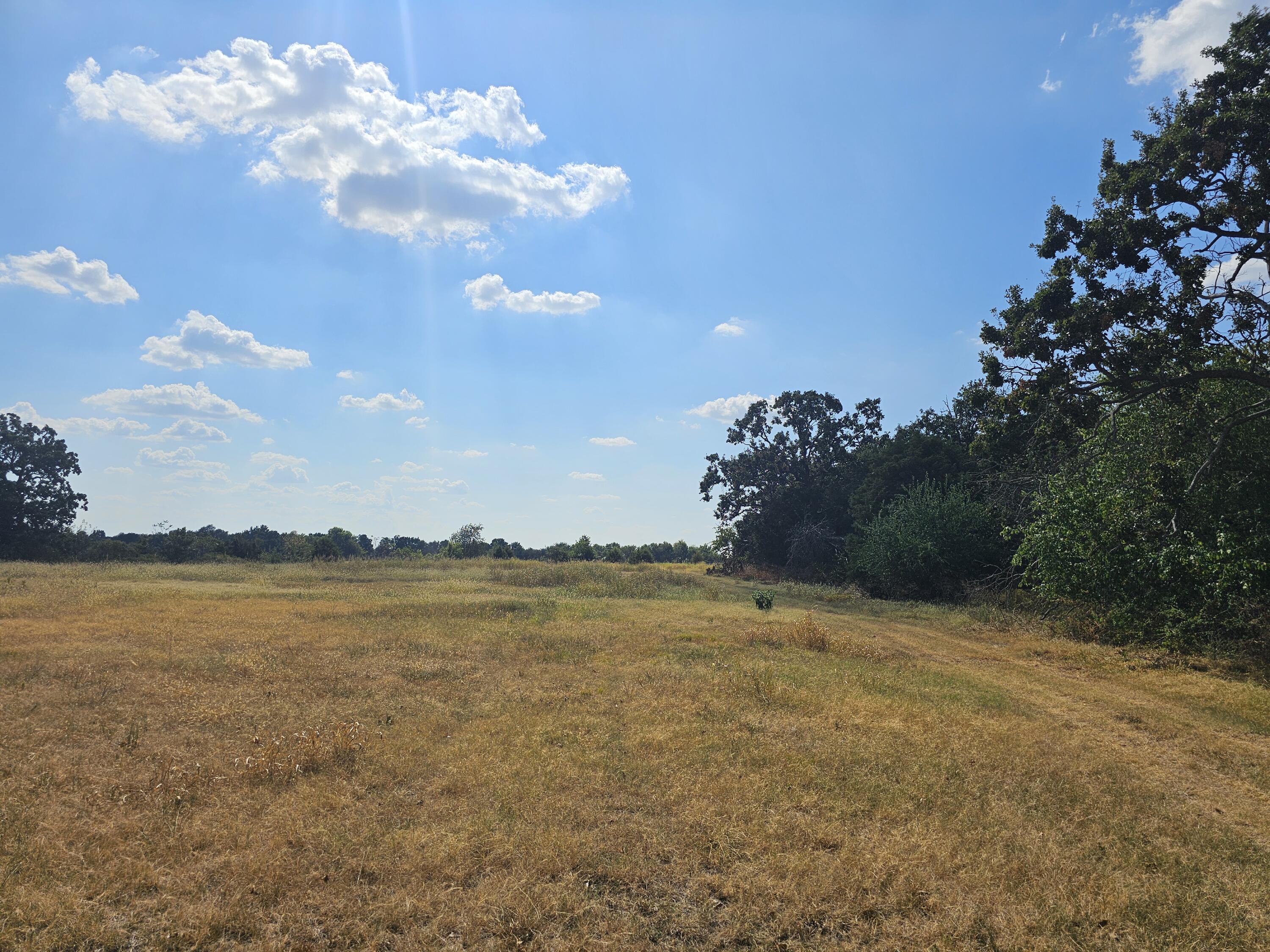 18127 State Rd H Monett, MO 65708 - Photo 51 of 65 20260909_152442