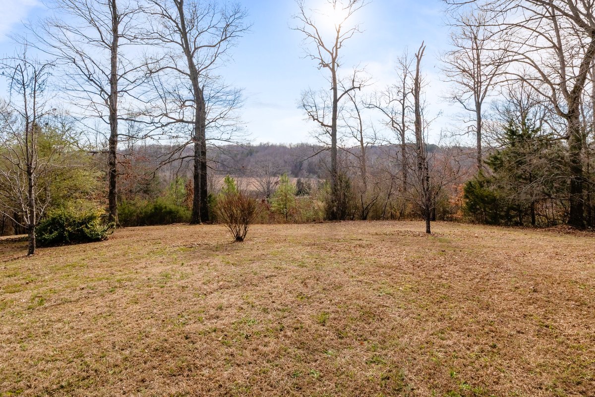 1975 Kelly Road Holladay, TN 38341 - Photo 8 of 88 a backyard of a house with large trees
