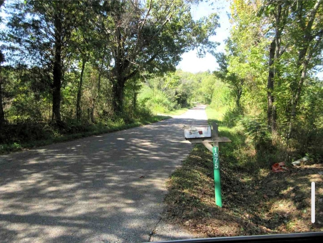1975 Kelly Road Holladay, TN 38341 - Photo 84 of 88 a view of a yard