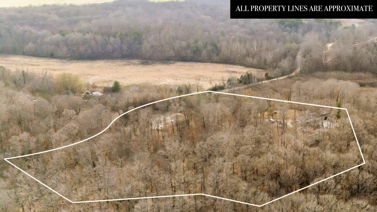 1975 Kelly Road Holladay, TN 38341 - Photo 85 of 88