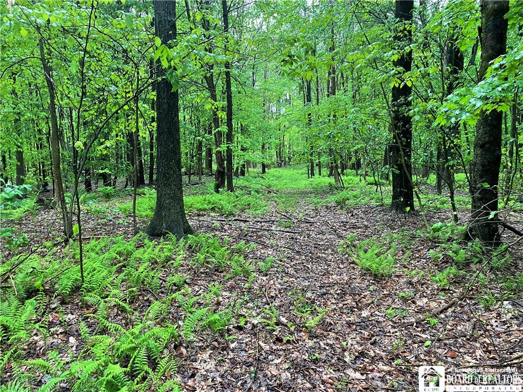 0 Walker Road Bemus Point, NY 14712 - Photo 12 of 25 Gallery Image 12