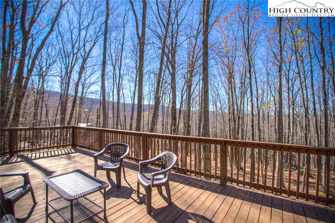 607 Pine Ridge Road Beech Mountain, NC 28604 - Photo 4 of 28