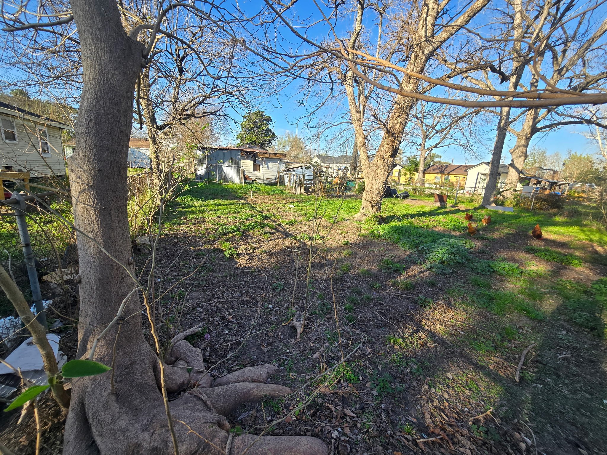 108 Parker Road Houston, TX 77076 - Photo 8 of 9 a view of yard with tree in front of it