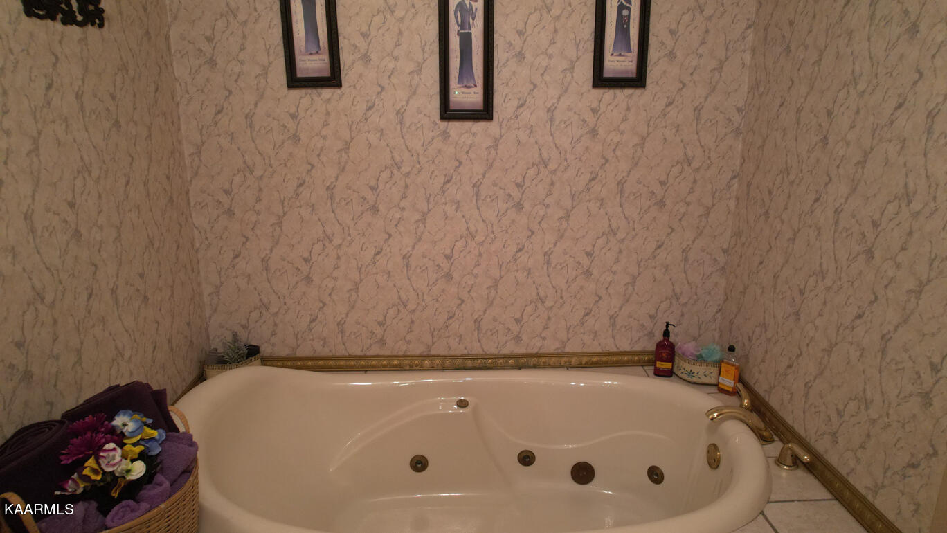 198 Ailor Gap Road Maynardville, TN 37807 - Photo 26 of 40 Jetted tub