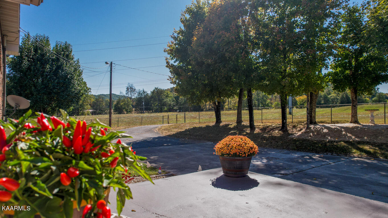 198 Ailor Gap Road Maynardville, TN 37807 - Photo 35 of 40 back deck