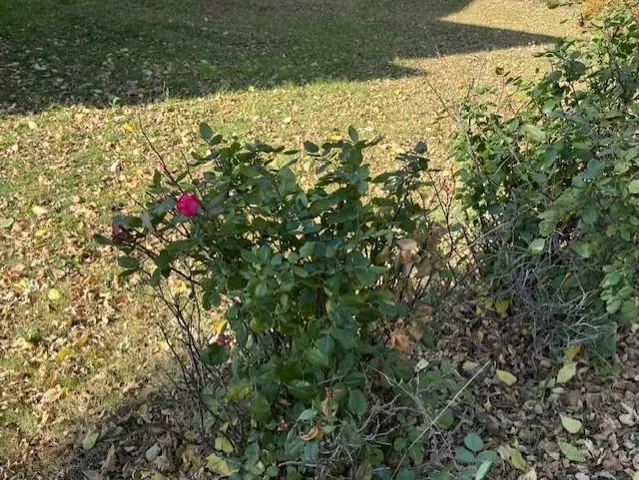 $169,900 | 315 11th Street North, Breckenridge, MN 56520