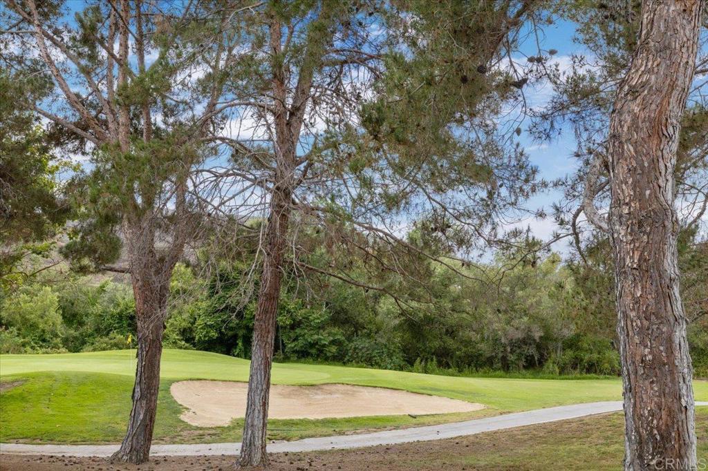 1726 Medinah Road San Marcos, CA 92069 - Photo 27 of 29