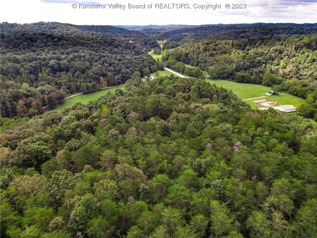 0 Route 1 Medina Road Ravenswood, WV 26164 - Photo 9 of 16 Gallery Image 9