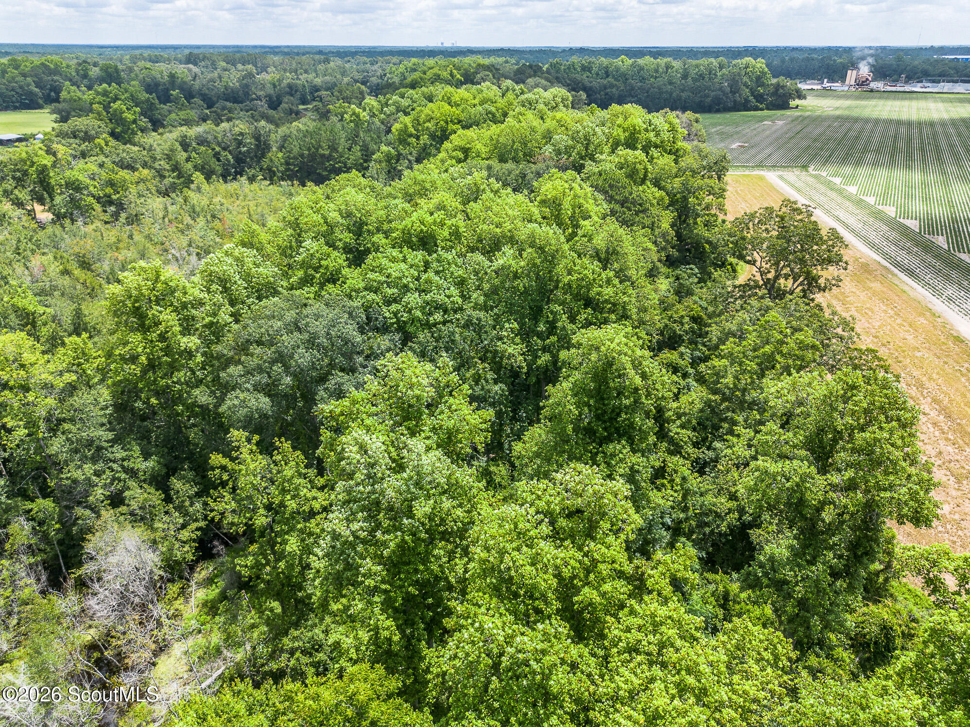 0 Nesbitt Road Jesup, GA 31545 - Photo 7 of 35 NESBIT-RD-ODUM-GA-8