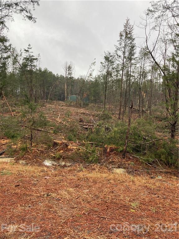 9 Springwood Lakes Road Chester, SC 29706 - Photo 3 of 4 a view of a forest with trees in the background