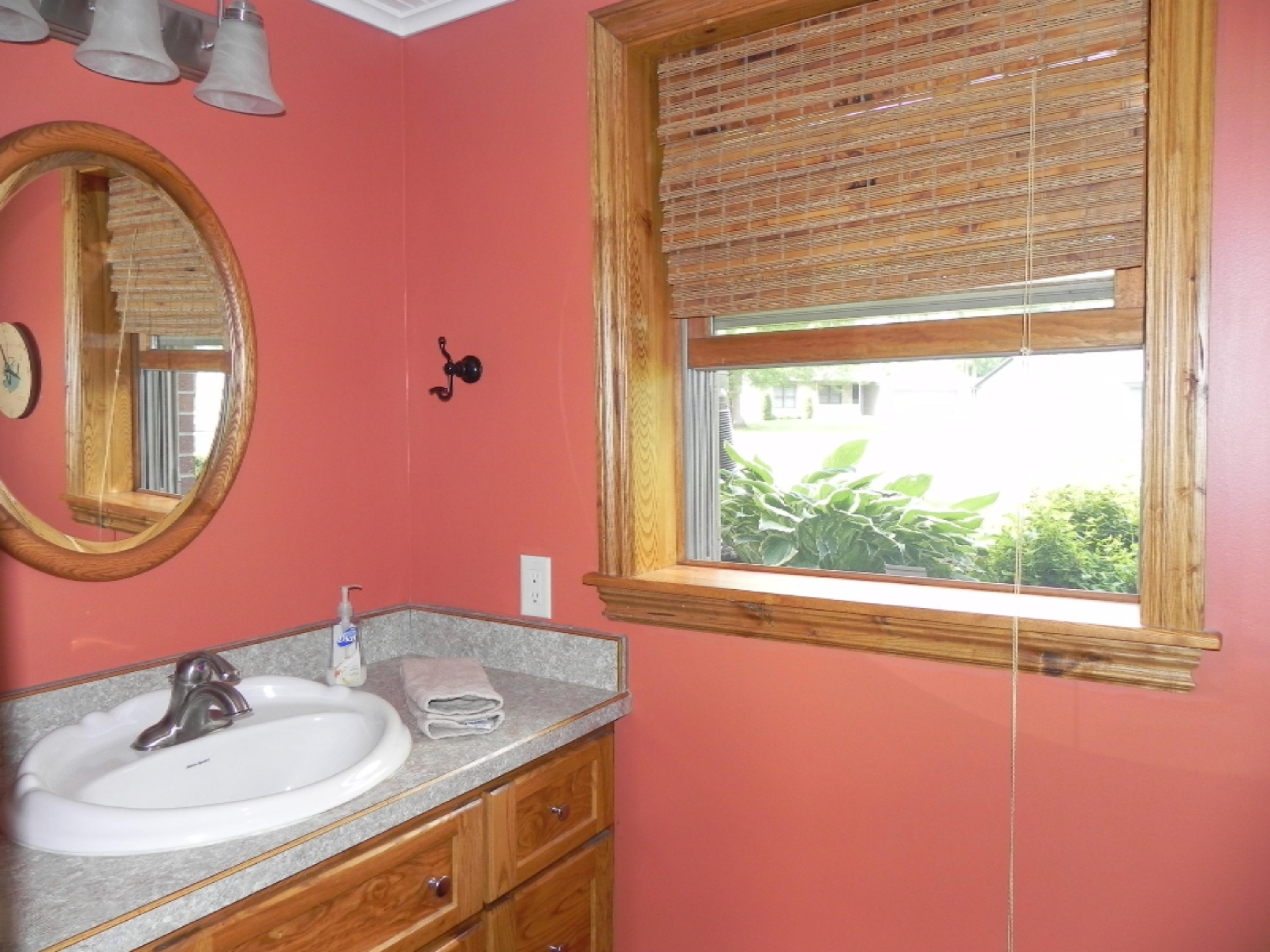 46726 Prospect Drive Decatur, MI 49045 - Photo 44 of 60 DSCN5090