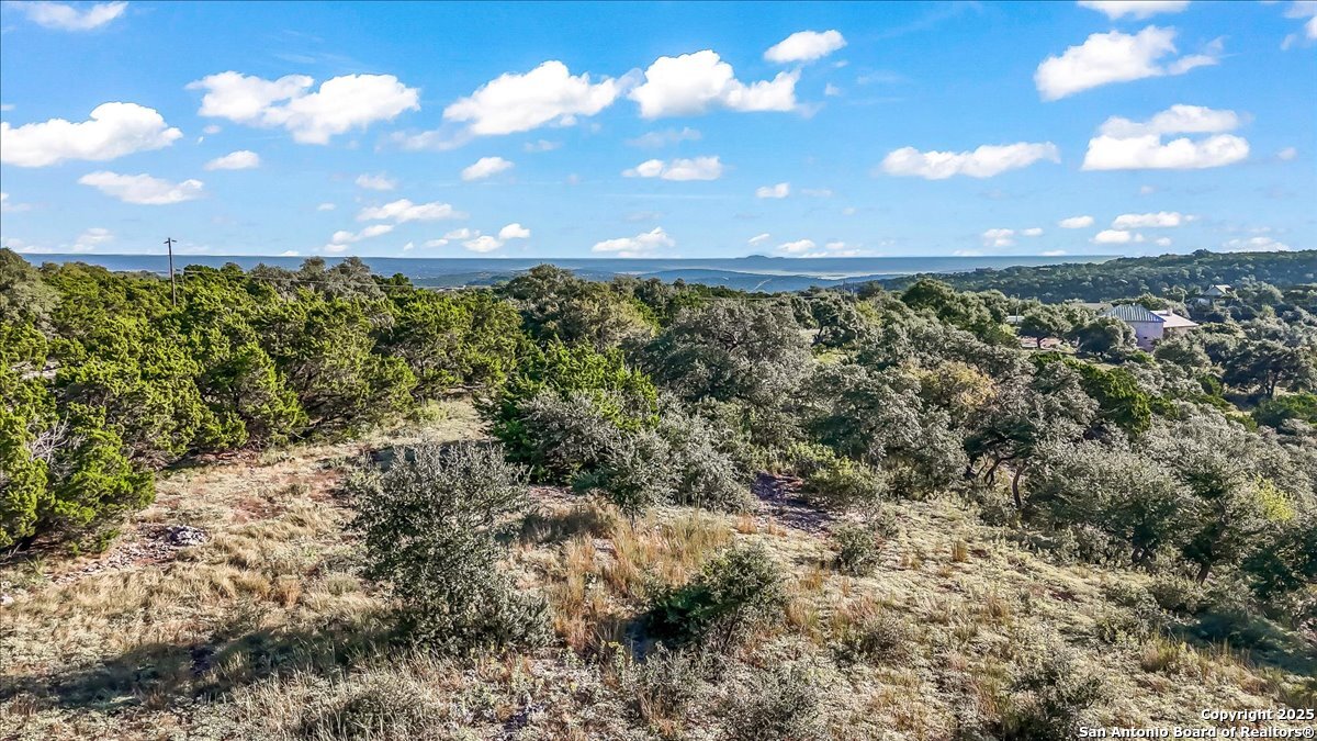 1059 Ranger Ridge New Braunfels, TX 78132 - Photo 13 of 23