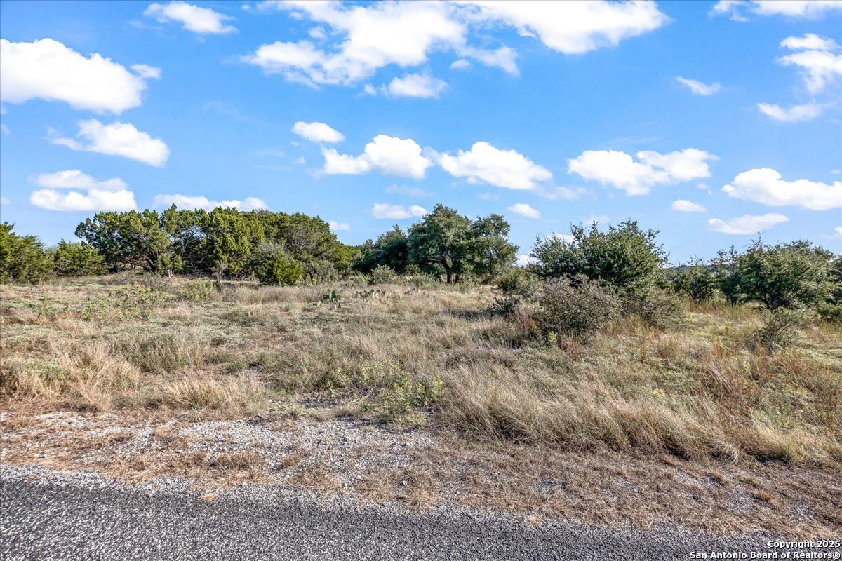 1059 Ranger Ridge New Braunfels, TX 78132 - Photo 14 of 23 a view of a field with trees in the background