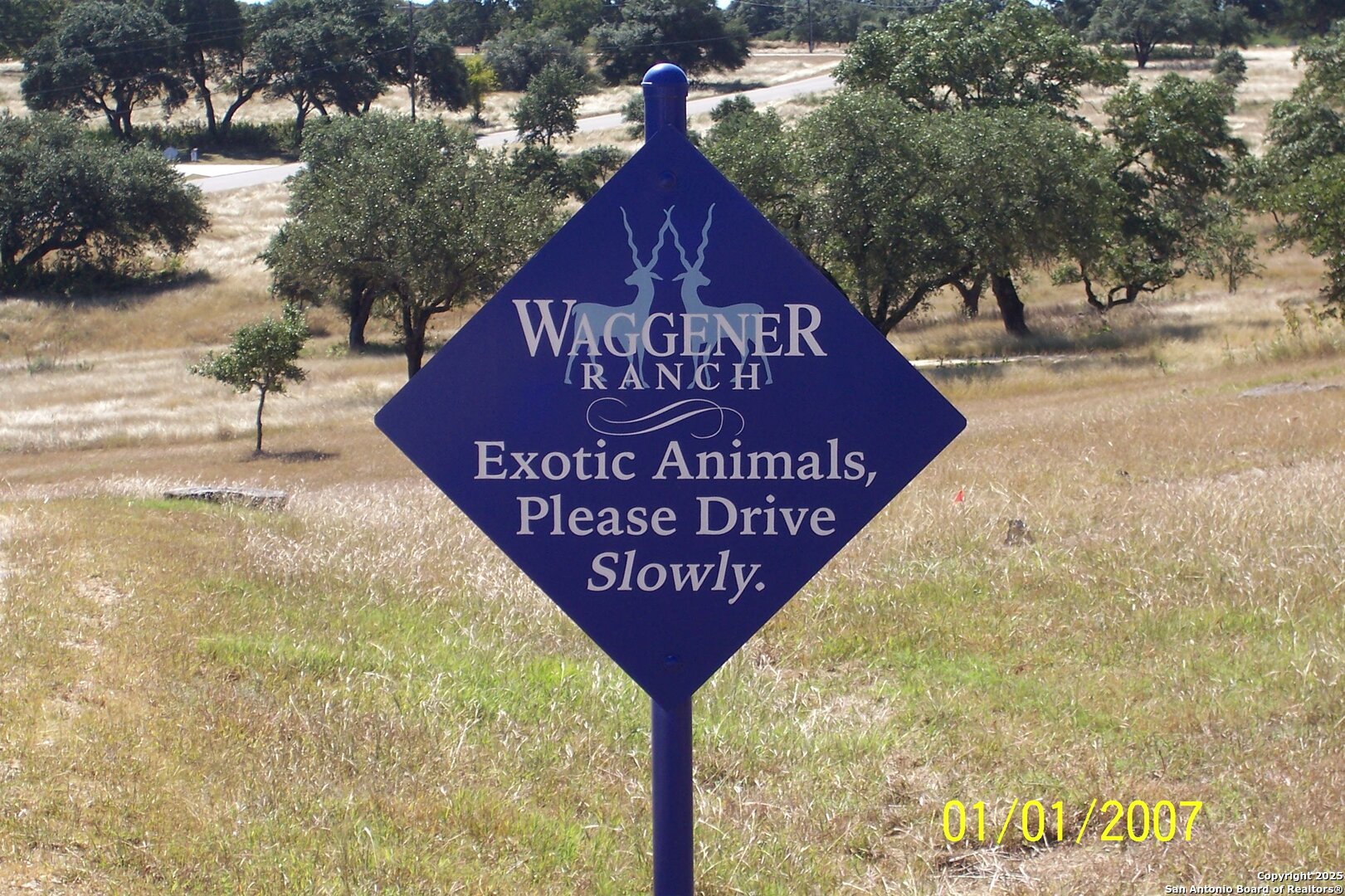 1059 Ranger Ridge New Braunfels, TX 78132 - Photo 20 of 23 a view of swimming pool with a yard and large trees