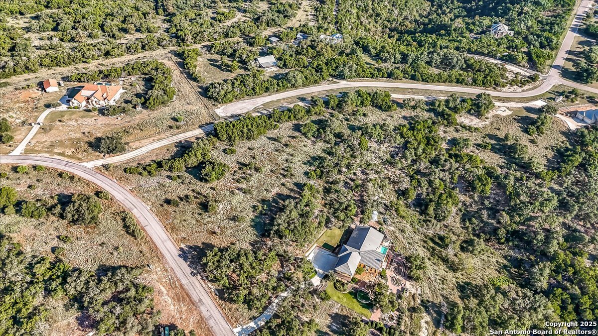 1059 Ranger Ridge New Braunfels, TX 78132 - Photo 5 of 23 a picture of a plant with a plant