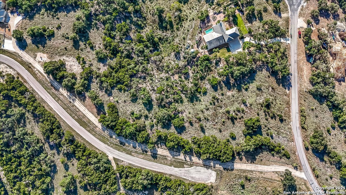 1059 Ranger Ridge New Braunfels, TX 78132 - Photo 10 of 23 a picture of tree
