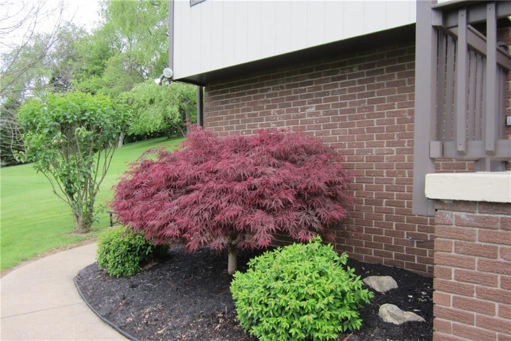 158 Craft Washington, PA 15301 - Photo 3 of 25 Beautiful landscaping.