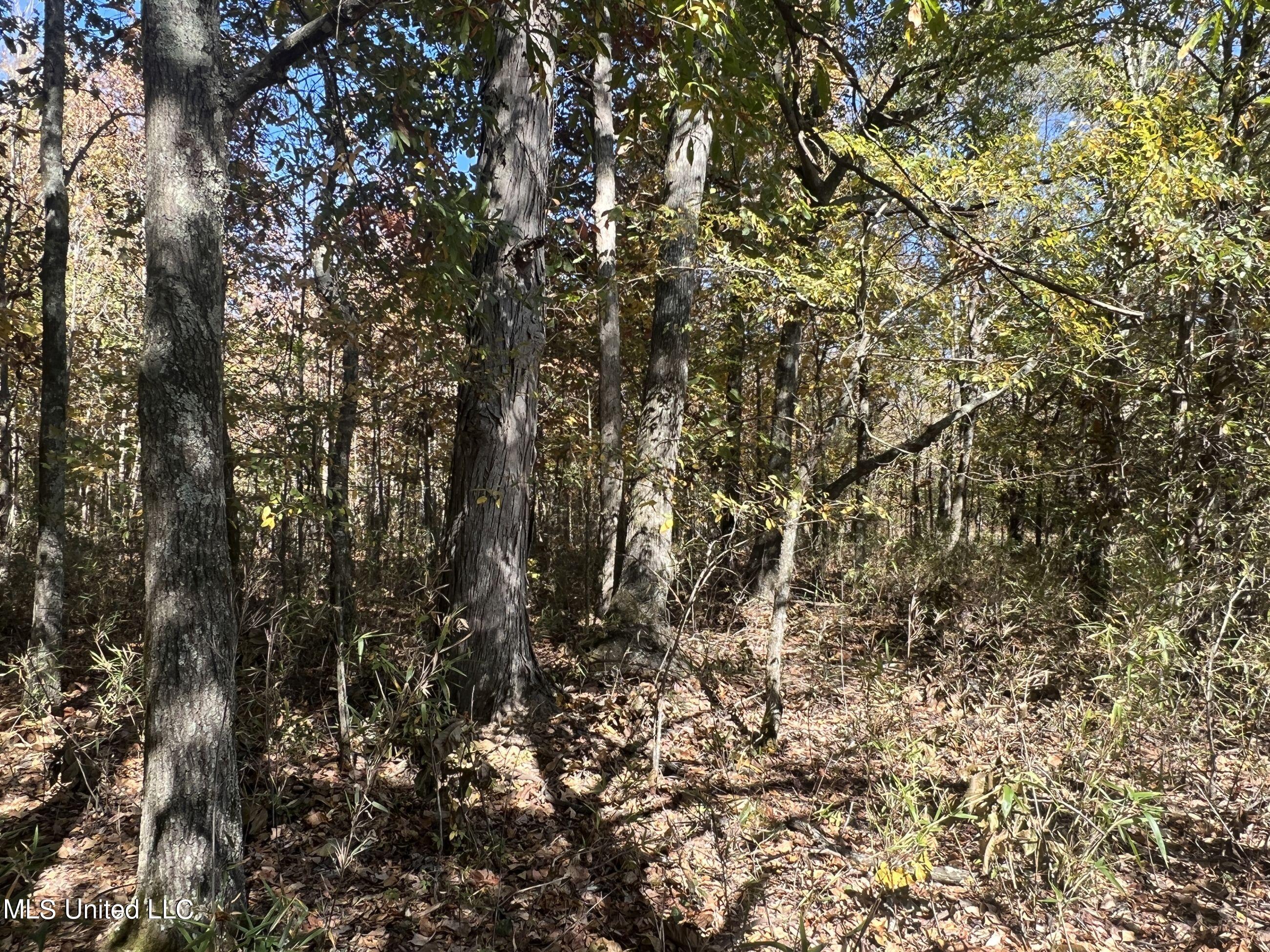 5151 Nash Road Batesville, MS 38606 - Photo 30 of 75 3irvi18