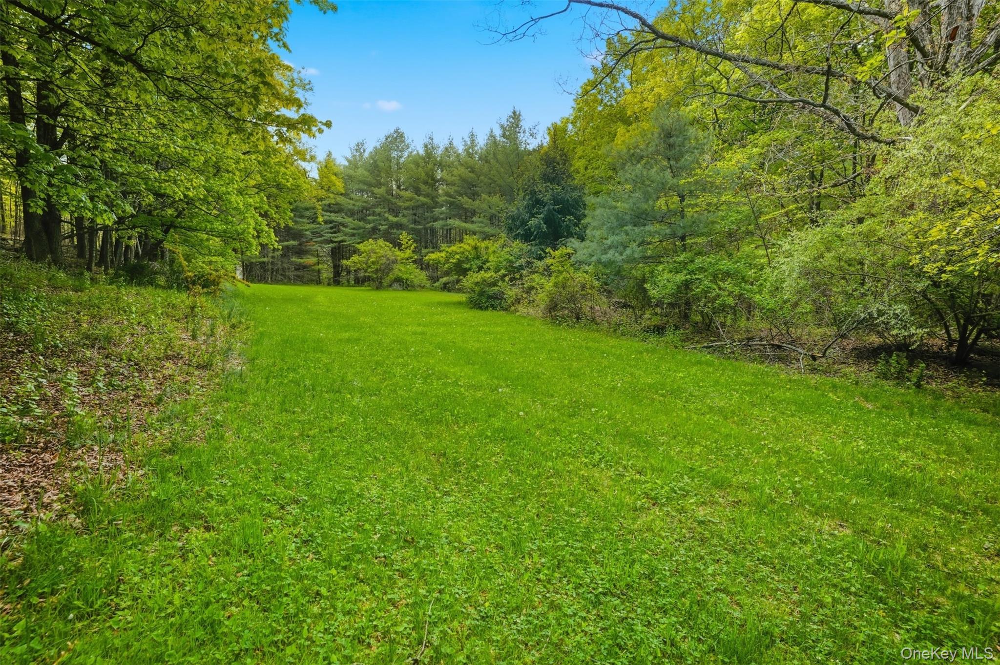 726 Wittenberg Road Mount Tremper, NY 12457 - Photo 27 of 32 a view of a yard with a tree