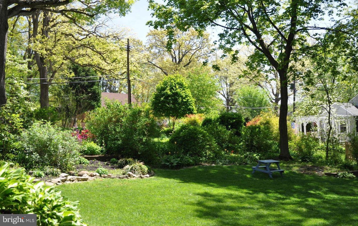 737 Regester Avenue Baltimore, MD 21212 - Photo 43 of 44 Summer yard!