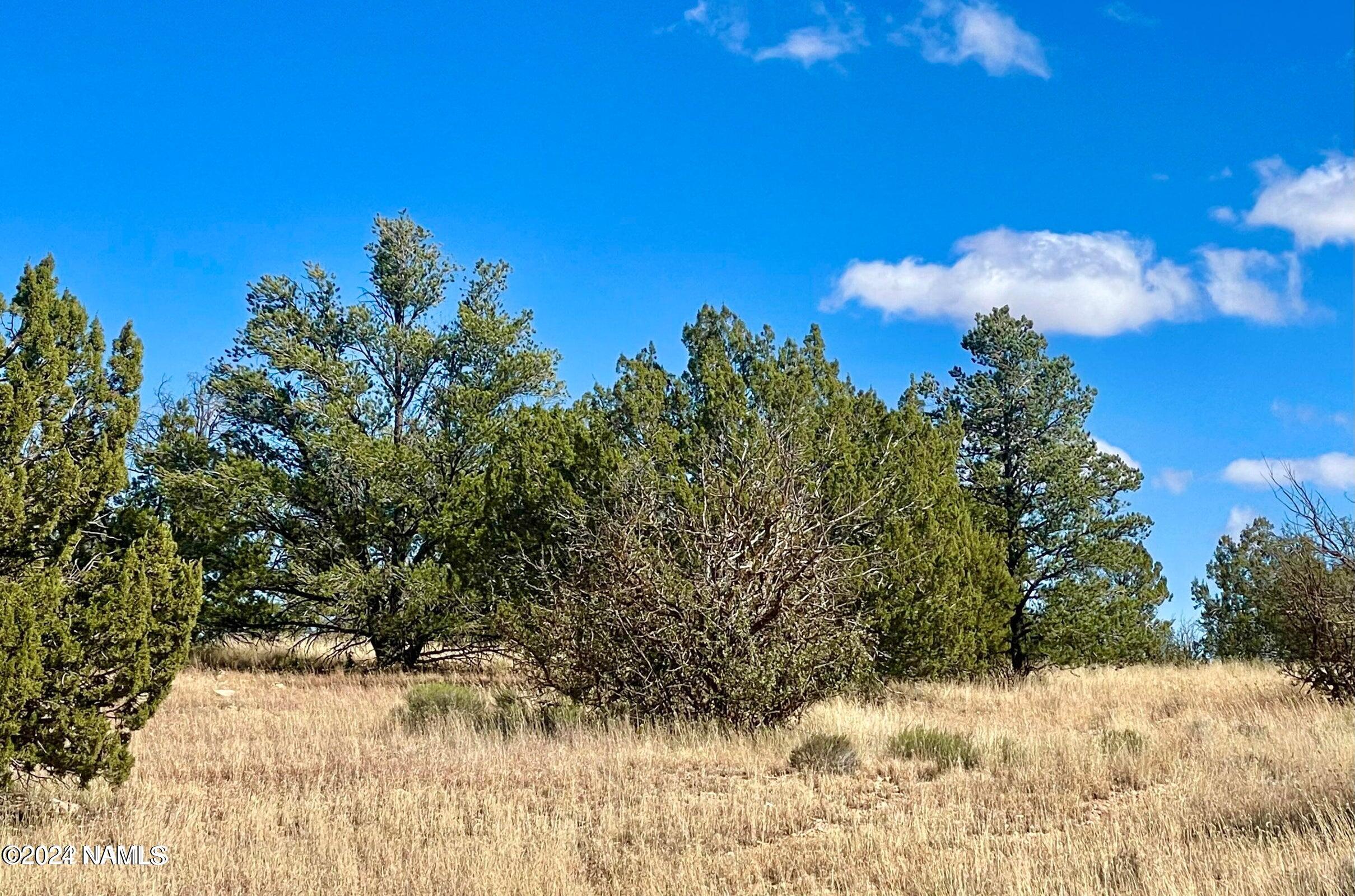 9379 West Red Bluff Road Williams, AZ 86046 - Photo 3 of 6 20221111195352051720000000-o