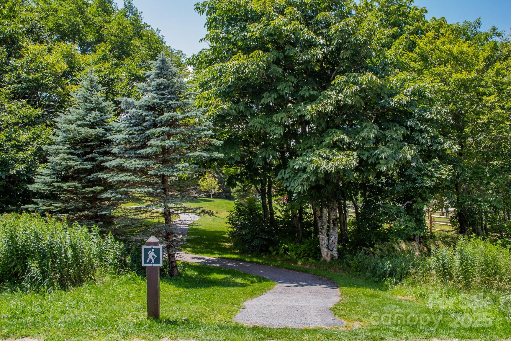 301 Pinnacle Inn Road, Unit 3130 Beech Mountain, NC 28604 - Photo 32 of 37 Gallery Image 32