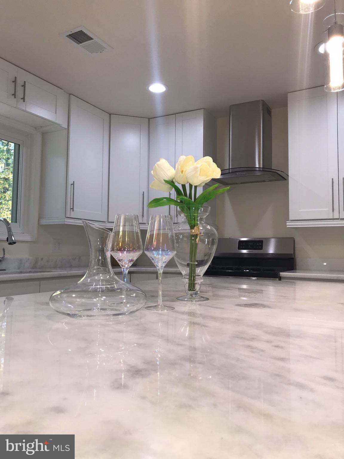 9009 Good Luck Road Lanham, MD 20706 - Photo 2 of 74 Kitchen