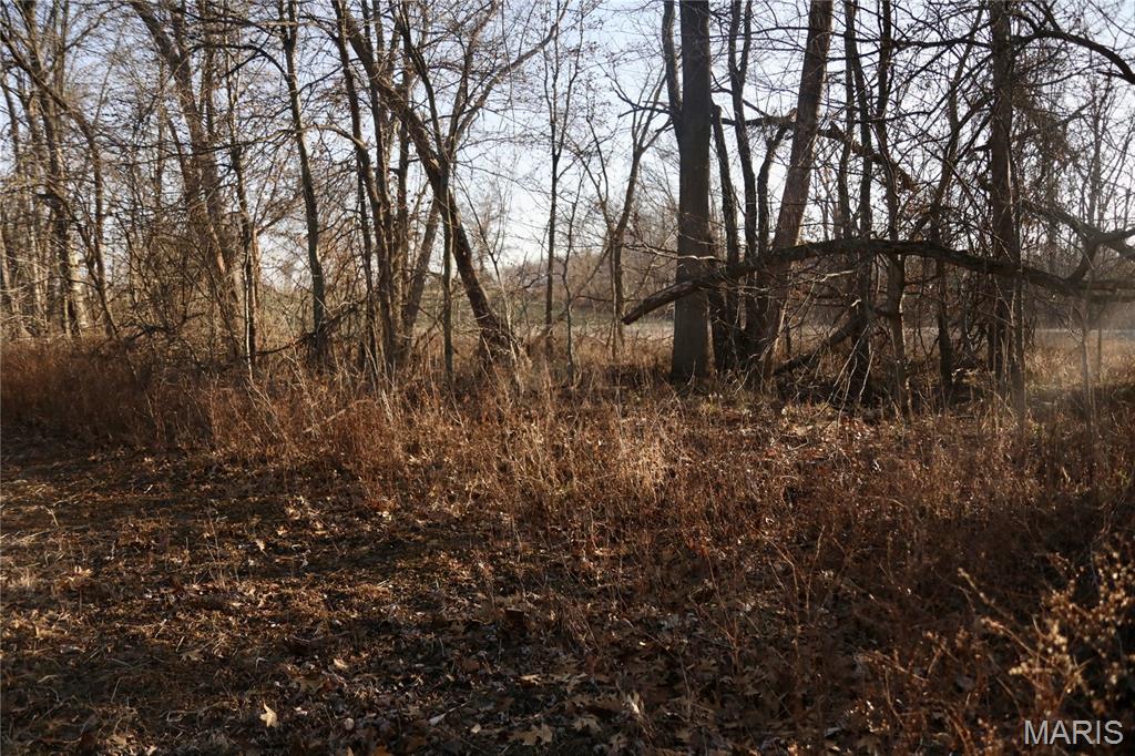 0 State Route 161 Centralia, IL 62801 - Photo 11 of 18