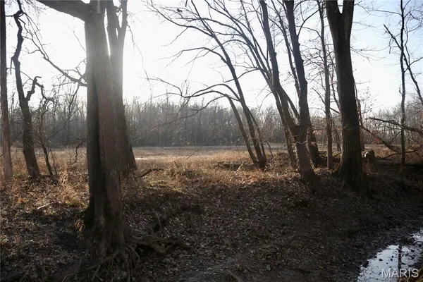 $215,000 | 0 State Route 161, Centralia, IL 62801