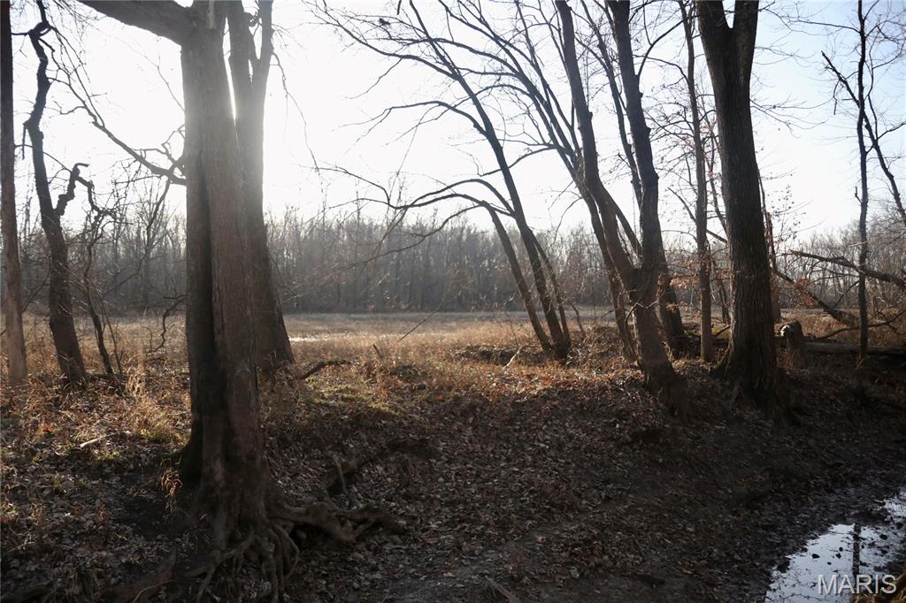 0 State Route 161 Centralia, IL 62801 - Photo 12 of 18