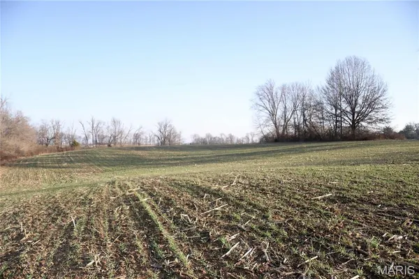 $215,000 | 0 State Route 161, Centralia, IL 62801
