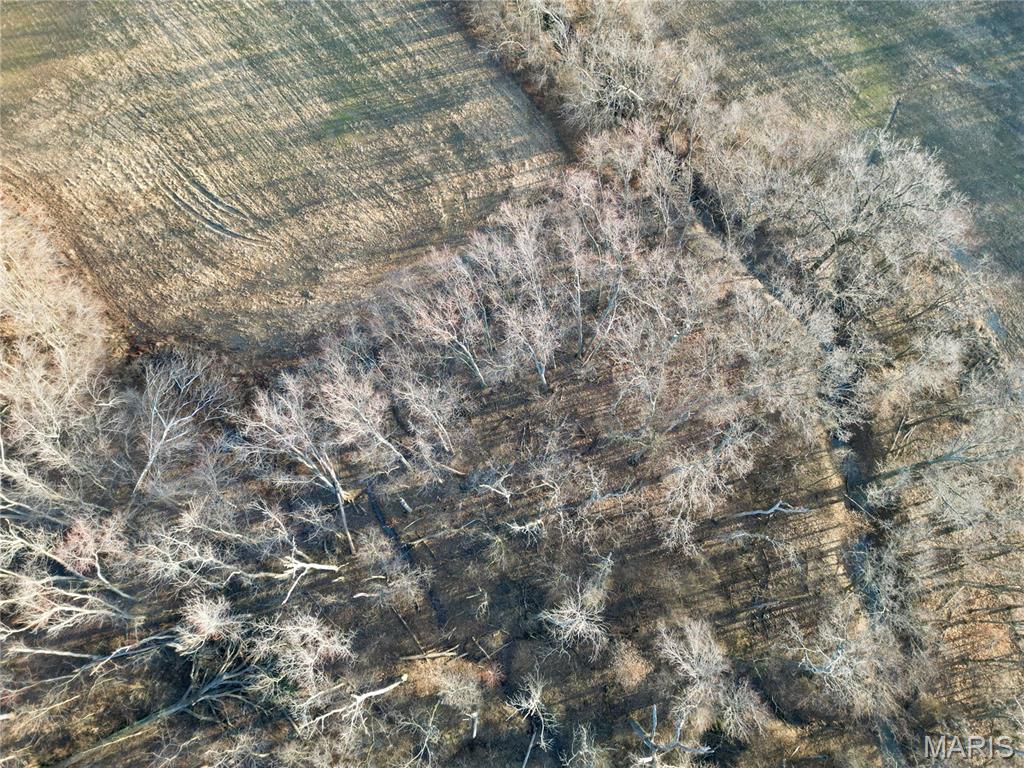 0 State Route 161 Centralia, IL 62801 - Photo 16 of 18