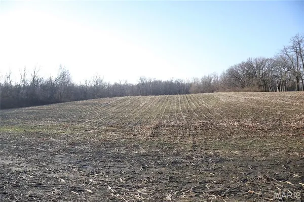 $215,000 | 0 State Route 161, Centralia, IL 62801