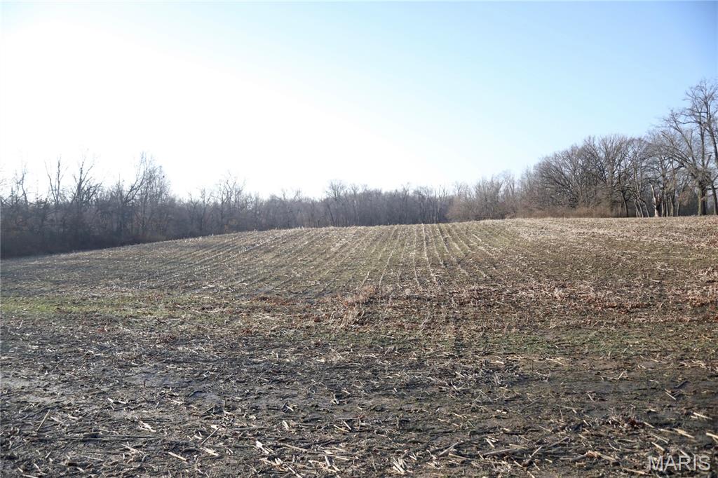 0 State Route 161 Centralia, IL 62801 - Photo 6 of 18