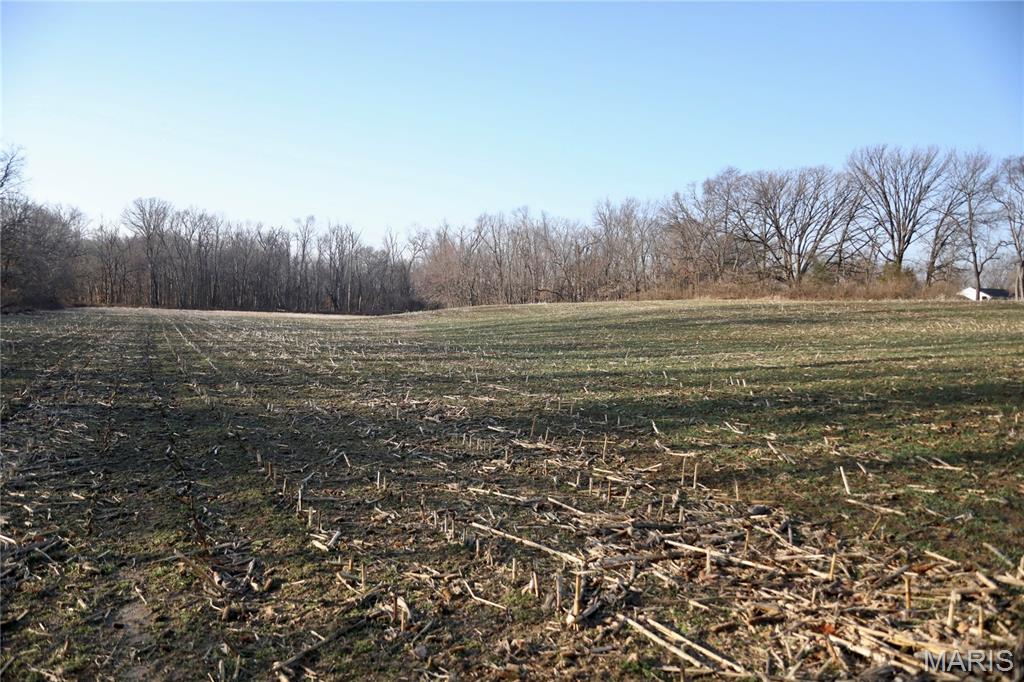 0 State Route 161 Centralia, IL 62801 - Photo 7 of 18
