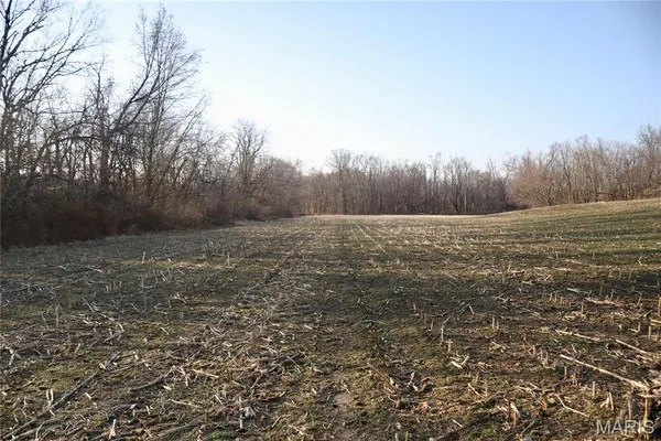 $215,000 | 0 State Route 161, Centralia, IL 62801