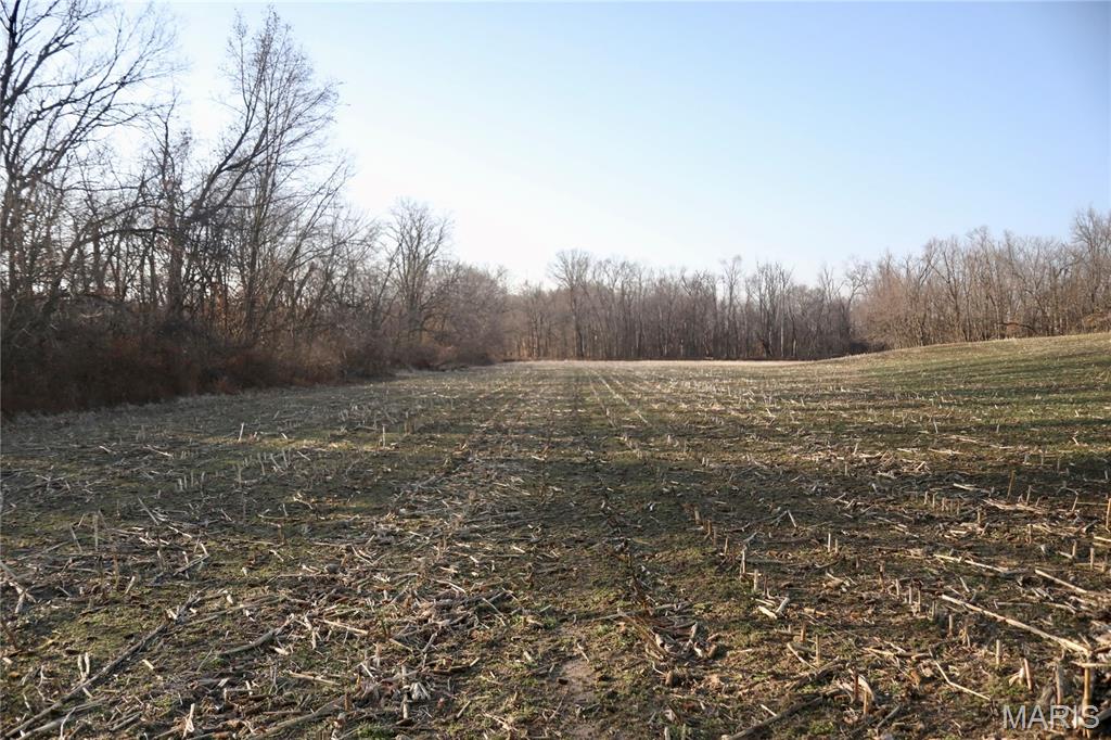 0 State Route 161 Centralia, IL 62801 - Photo 8 of 18