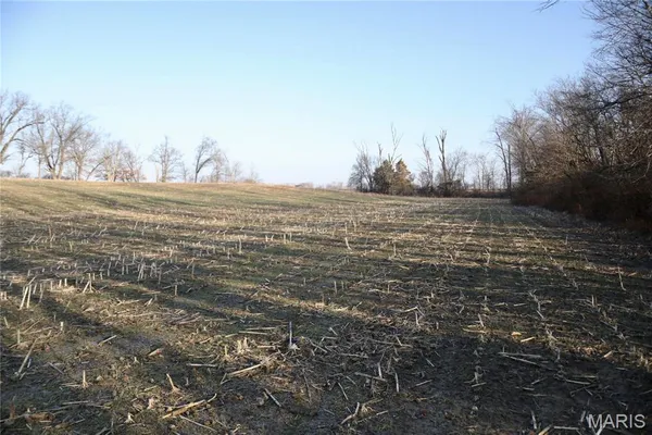 $215,000 | 0 State Route 161, Centralia, IL 62801