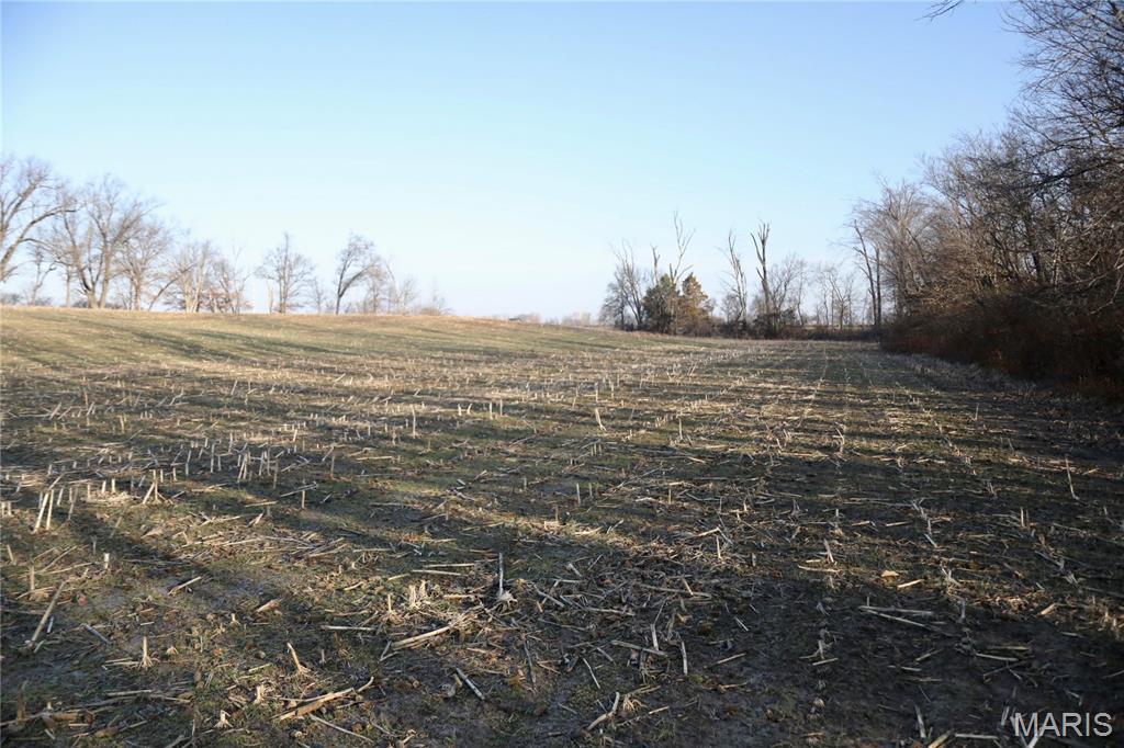 0 State Route 161 Centralia, IL 62801 - Photo 9 of 18