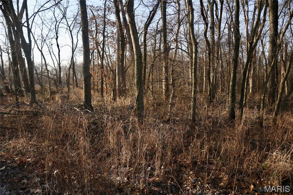 0 State Route 161 Centralia, IL 62801 - Photo 10 of 18