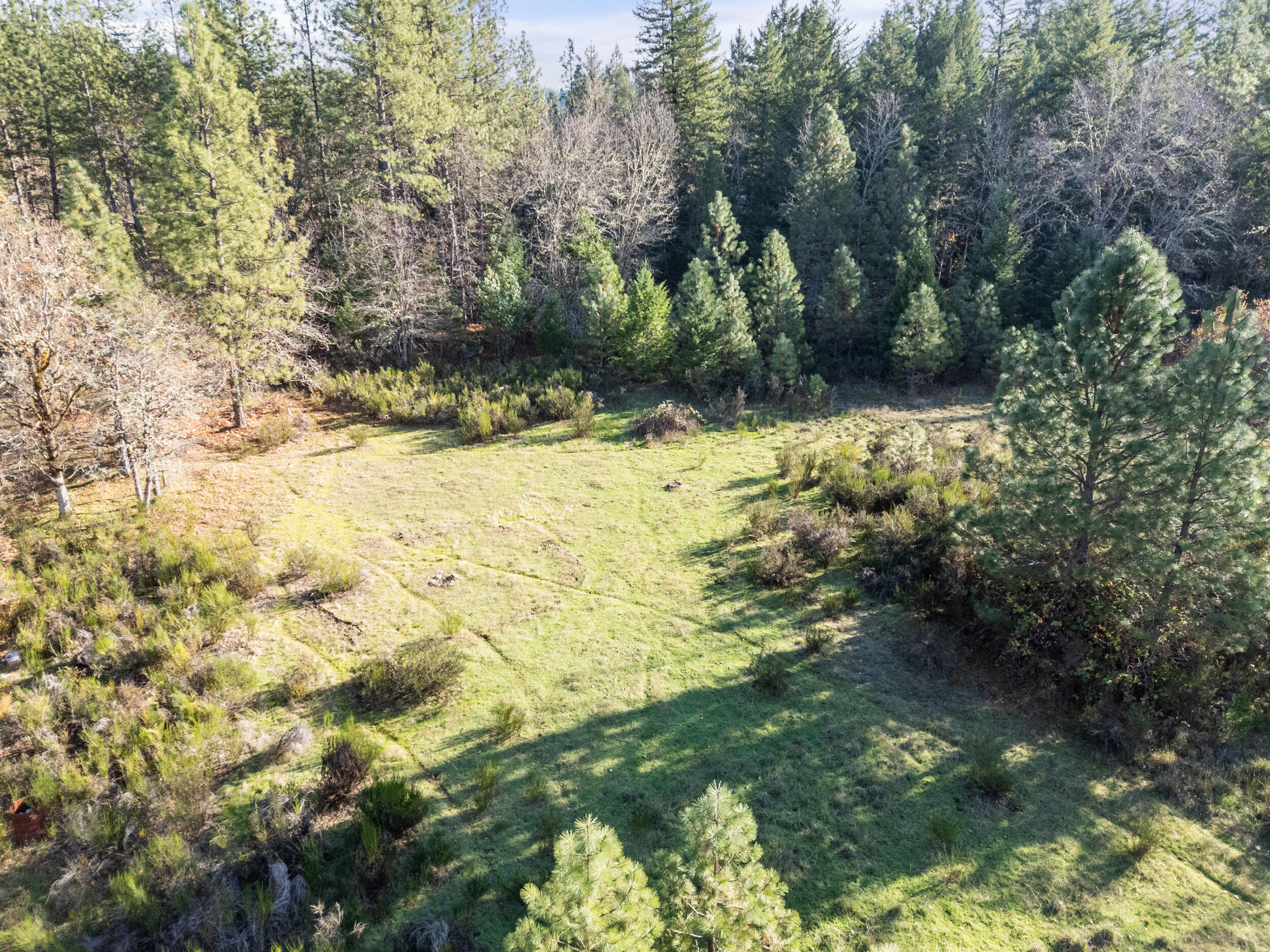 681 Daisy Hill Road Cave Junction, OR 97523 - Photo 21 of 26 a view of a yard with trees