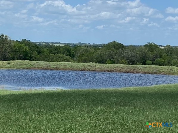 2110 Immenhauser Road Yoakum, TX 77995 - Photo 39 of 39 a view of a yard