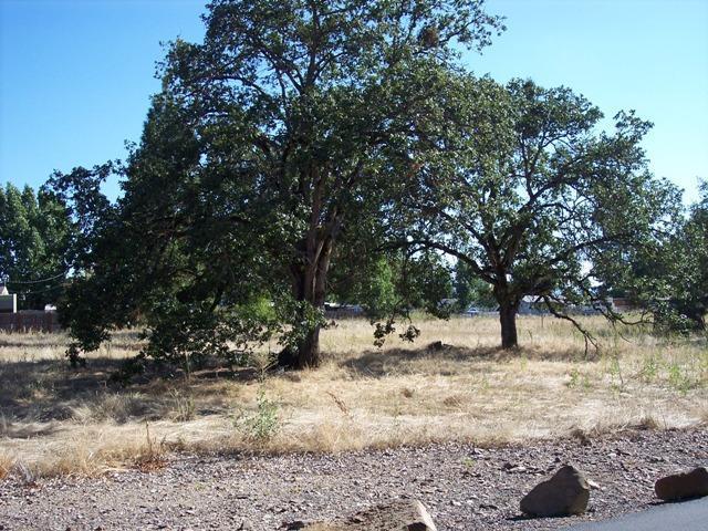 6099 Table Rock Road Central Point, OR 97502 - Photo 2 of 3 Additional Photo